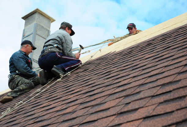 Best Roof Repair Services  in Jackson, OH